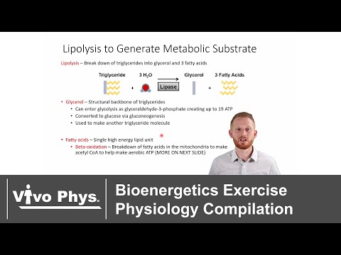 Bioenergetics Exercise Physiology Compilation