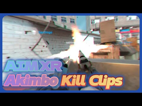 VRFPSでアキンボしてみたら楽しすぎた【AIM XR  Akinbo Kill Clips】