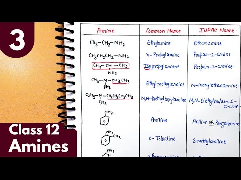 3) Nomenclature of amines| IUPAC and Common names of amines| Amines Class12 Chemistry #neet #jee