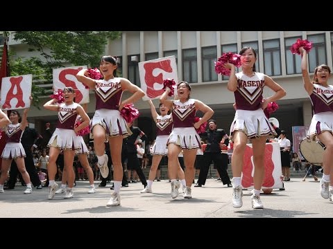 オープンキャンパス2015③ Viva Waseda 早稲田大学応援部チアリーダーズBIG BEARS