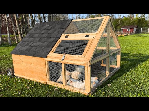 A Day On The Homestead |Building A Chicken Tractor &  Moving Our Meat Birds