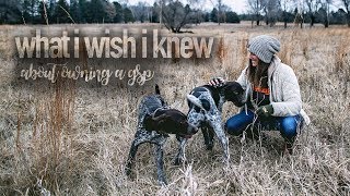 What I Wish I Knew About Owning A GSP