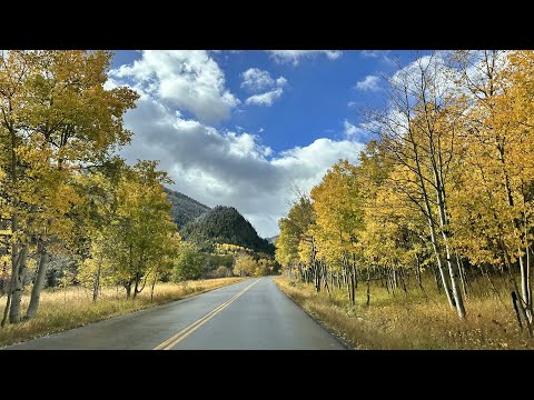 Fall Foliages around Castle Creek Road, Aspen, Colorado. Visited on 10-3-2023 noon. Day 7-B