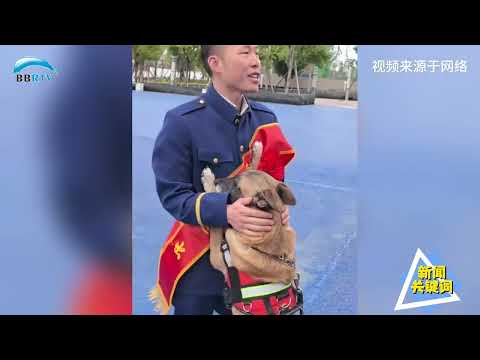 消防员光荣退出 搜救犬不舍训导员离去