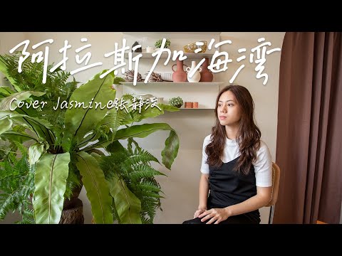 菲道尔 - 阿拉斯加海灣 | Cover Jasmine 張靜汶