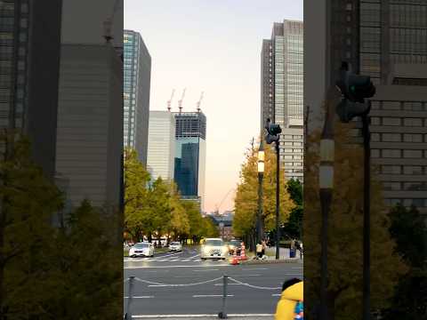 Tokyo beside Imperial palace #japan #travel #japanwalk #foryou #viralshorts #shorts