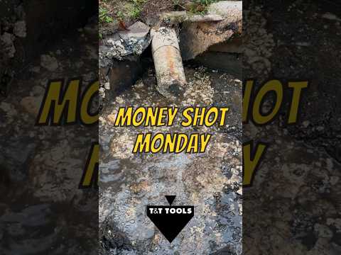 MoneyShotMonday 12/30/24 #shorts