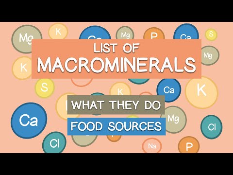 List of Major Dietary Minerals, What They Do | Plus Food Sources