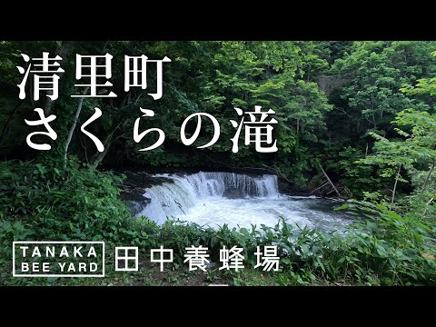 さくらの滝　清里町の観光名所と畑作地帯を紹介