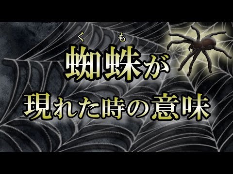 【サイン】縁起のいい嫌われ者！蜘蛛の存在感が変わる８本脚のメッセンジャー【spider】