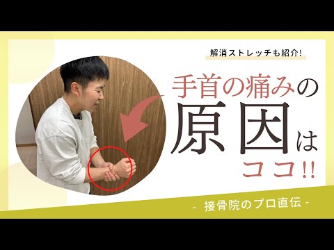 【手首の痛み〜キーンベック病〜】物をつかむとき、手首を上げようとすると手首の中心が痛い方へのストレッチ！｜接骨院のプロが教えるお家セルフケア｜テラピスト接骨院