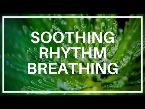 Soothing Rhythm Breathing - Compassion Focused Therapy Exercise #LewisPsychology