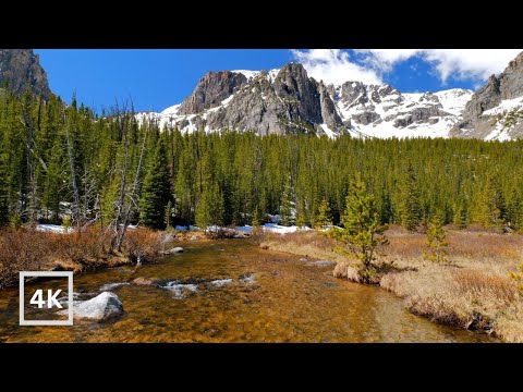 4K Mountain Creek Ambience | Sunny Day in Rocky Mountains | Nature Sounds for Sleeping and Relaxing