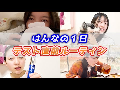 【ルーティン】中3 女子のテスト直前の1日に密着してみた！【はんな】