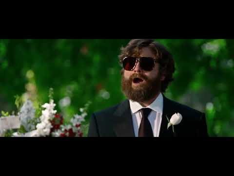 Alan from the Hangover sings