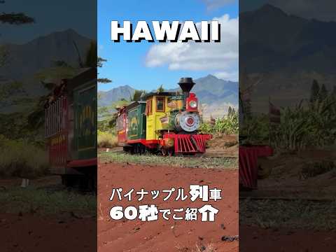 想定外に楽しくて子供心に帰りました#shorts#hawaii#パイナップル列車