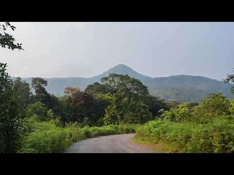 Horanadu to sringeri roadways beautiful scenary #sringeri #hornadu #nature #roadtrip