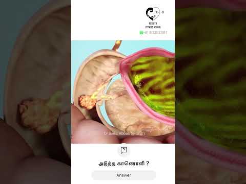 Is betel leaf good for health ? உணவிற்குப் பின் வெற்றிலை நல்லதா ? Dr.Isacc Abbas