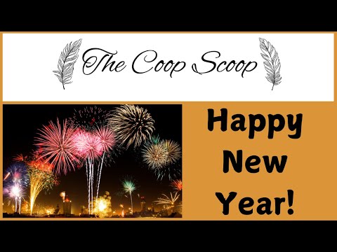 What's Next in the New Year For the  Coop Scoop Hens