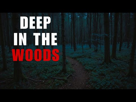 7 Disturbing Deep Woods Horror Stories | Scary Deep Woods Stories | With Rain Sounds