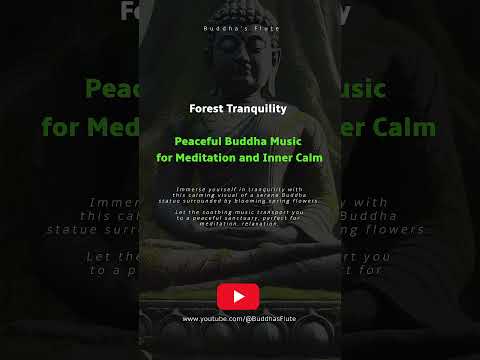 Forest Tranquility 🍃 Peaceful Buddha Music for Meditation and Inner Calm