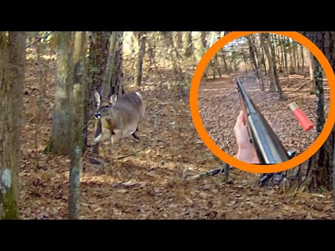 12 Deer Almost RUN ME OVER!! | 6 Kills On Cam!!