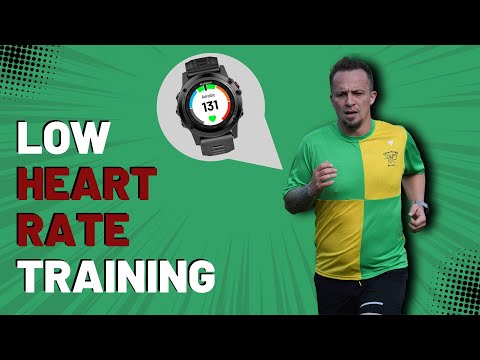 Begining 12 Months of Low Heart Rate Training