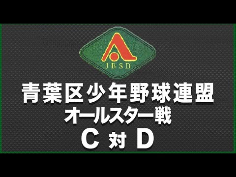 青葉区少年野球連盟 オールスター戦 C対D