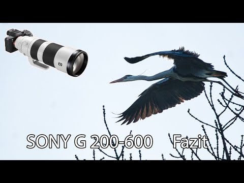 Fazit zum Sony G 200-600mm