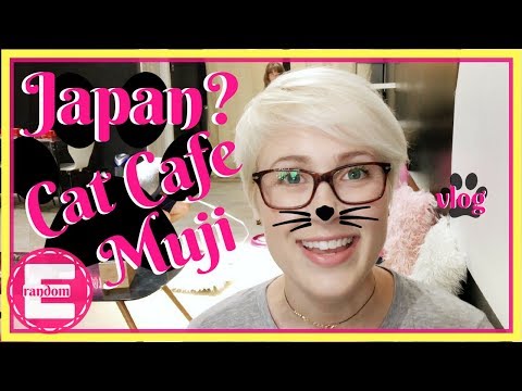 Are We in Japan? Cat Cafe | Muji & More!