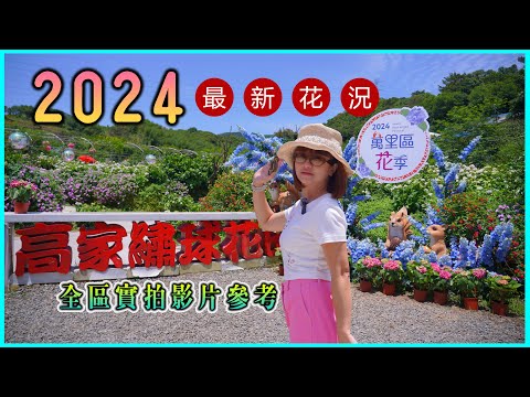 [花況搶先看]2024高家繡球花第三園區｜4K超高清