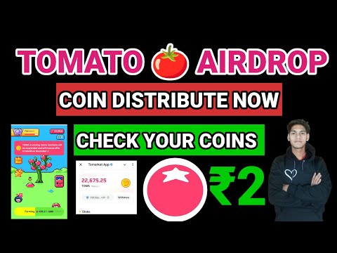 Tomato Airdrop Coin Distribute Check Your Coins 🪙 And Increase your tomato 🍅 coin