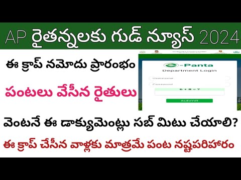 ఖరీఫ్ పంట నమోదు ప్రారంభం || e panta crop booking || e crop booking status 2024@ConnectingChandra