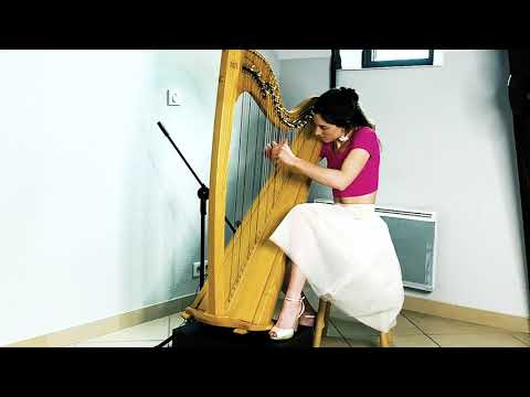 Y Gwydd - beautiful Welsh tune with Celtic lever harp and live electronics