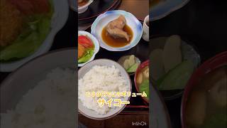 【新潟グルメ】新潟市役所近くのコスパ最強ランチ