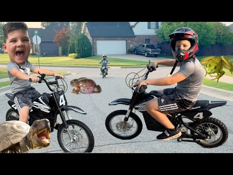 DiRT BIKE RIDING ADVENTURE with CALEB and MOM! dirt bikes, Kids Bug Hunt & FROGS!