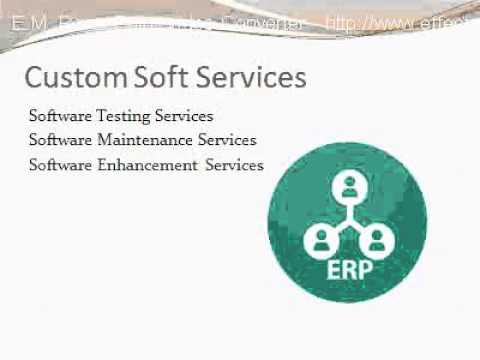 Small Business ERP by Custom Soft