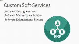 Small Business ERP by Custom Soft