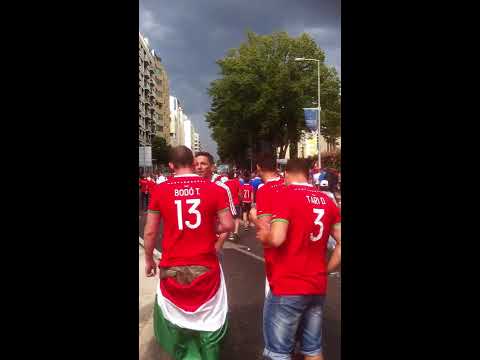 Island Hungaria suporter before the match in Marseille