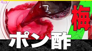 【梅ポン酢レシピ】梅酢を使って色鮮やかな自家製ポン酢を作りましょう