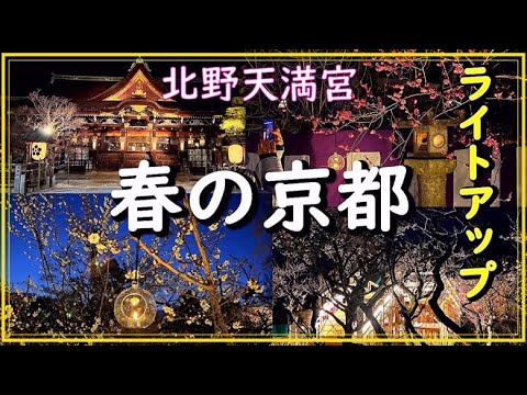 【京都旅行】北野天満宮/梅の名所/ライトアップ