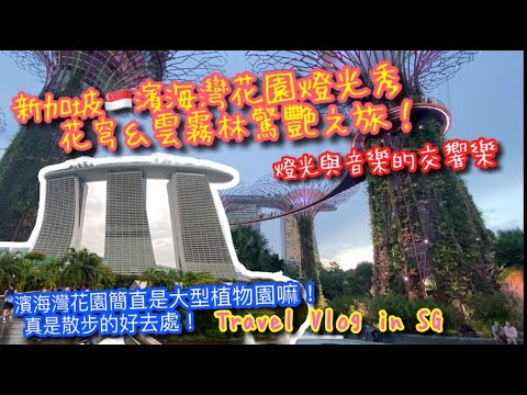 【新加坡🇸🇬旅行Vlog 】參觀花穹&雲霧林哪個驚艷？｜濱海灣花園燈光與音樂show｜阿凡達世界請期待｜Travel vlog in SG