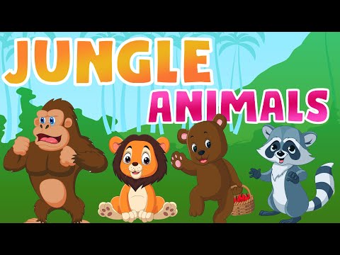 Learn Jungle Animals for Kids | Wild Animals for Kids | Educational Videos for Kids and Toddlers