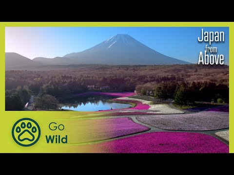 From Snowland to Tokyo | Japan From Above 2/5 | Go Wild