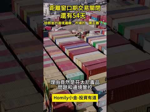 【距離窗口期交易關閉還有54天】特朗普的邊境邏輯，市場的“黑天鵝”？#投資 #美股 #港股 #美國大選 #美元