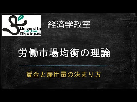 労働市場均衡 (No74) 賃金、雇用量はどのようにして決まるのか？労働市場均衡の理論について解説