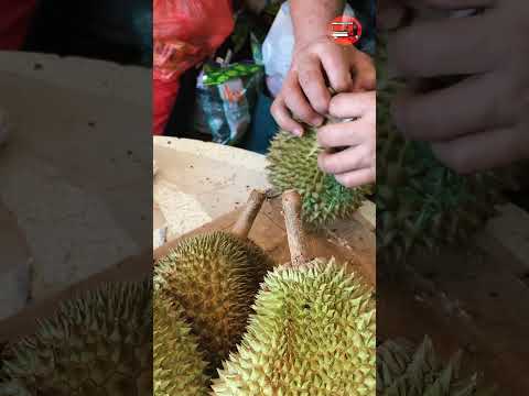 Kampung Durian in Malaysia #shorts