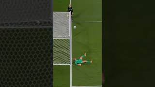 GOAL OR NOT? #fifawomensworldcup2023 #fifawomensworldcup #fifawwc #uswnt #sweden #football #shots