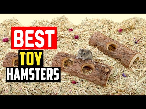 ✅Best Toy For Hamsters in 2023