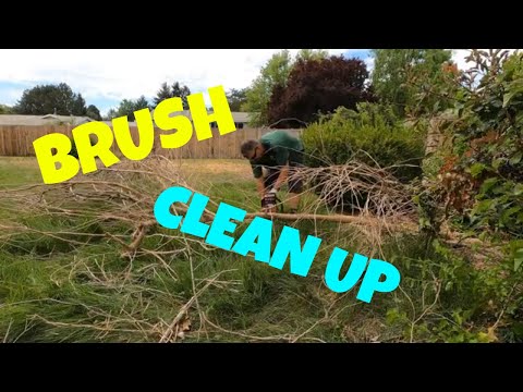 Lets clean up some brush piles